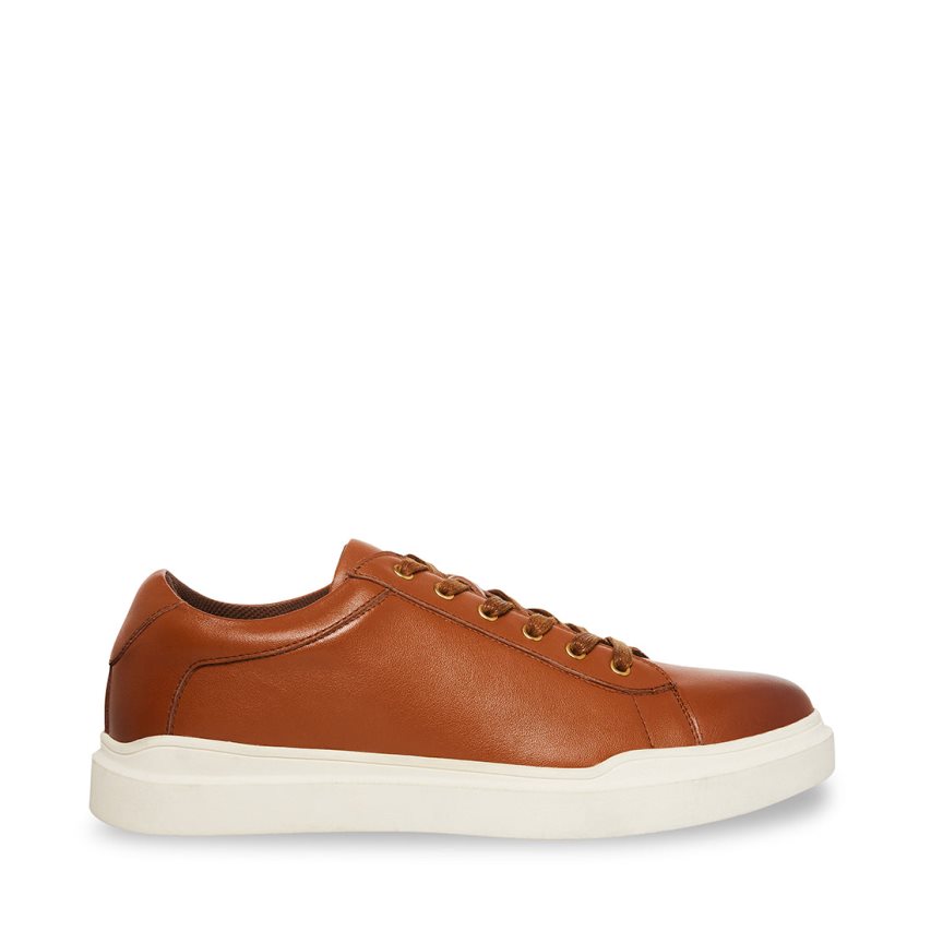 Brown Steve Madden Tilton Leather Men\'s Sneakers | PH 1279ENK